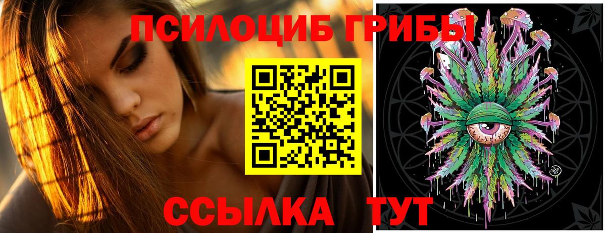 Керчь  Псилоцибиновые грибы GOLDEN TEACHER  Вход с VPN  Галлюциногенные грибы Cubensis 